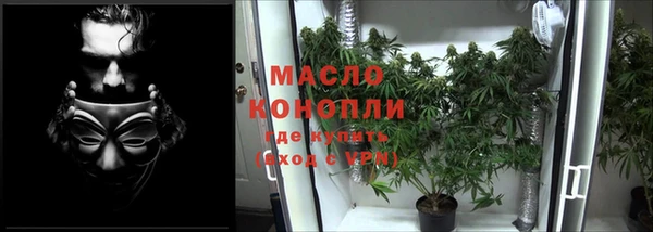 шишки Остров