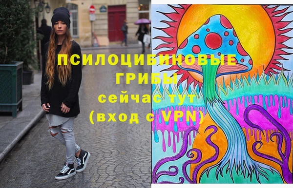 MDMA Нязепетровск