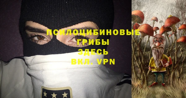 скорость Няндома