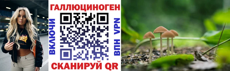 Галлюциногенные грибы Magic Shrooms MEGA tor Поронайск